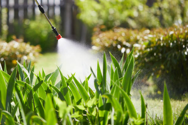 Tamper-Resistant Bait Stations for Rodents in Passaic
