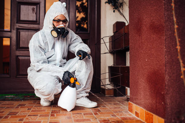 Attic and Crawl Space Rodent Treatment in Passaic