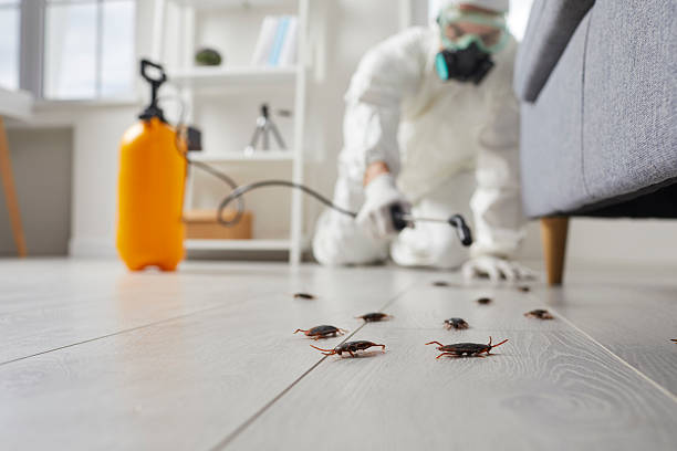 Commercial Rodent Management in Passaic
